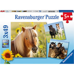 Пазл «Пони» 3х49шт Ravensburger