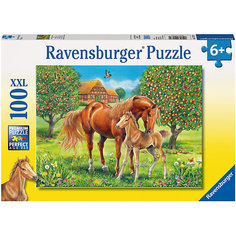 Пазл "Лошади в поле" XXL 100 шт Ravensburger