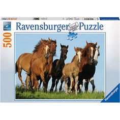 Пазл «Табун лошадей» 500 шт Ravensburger