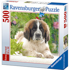 Пазл «Щенок сенбернара» 500 шт Ravensburger