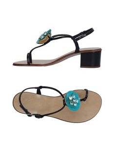 Вьетнамки Giuseppe Zanotti Design
