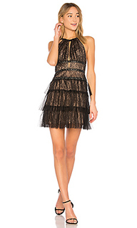 Hilaria short halter dress with gromme in black - BCBGMAXAZRIA