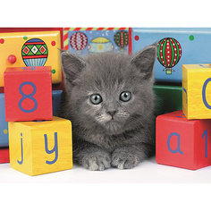 Пазл светящийся «Котенок с кубиками» XXL 200 шт Ravensburger