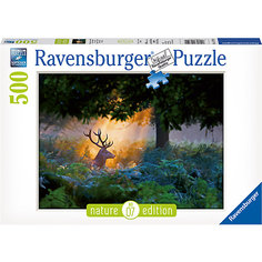 Пазл «Олень в лучах заходящего солнца» 500 шт Ravensburger