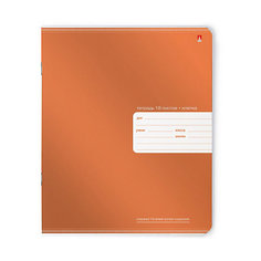 ТЕТРАДЬ 18Л. КЛ. "ПРЕМИУМ МЕТАЛЛИК" 4 ВИДА, 10 шт. Альт