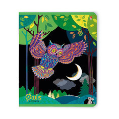 ТЕТРАДЬ 48Л.  "СКАЗОЧНЫЕ СОВЫ ЯРКИЕ" 5 ВИДОВ Альт