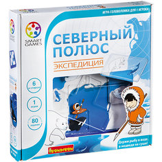 Игра-головоломка "Северный полюс. Экспедиция" Bondibon