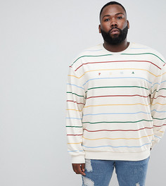 Белый свитшот в полоску Puma PLUS эксклюзивно для ASOS - Белый