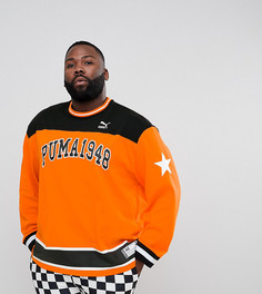 Оранжевый свитшот Puma PLUS эксклюзивно для ASOS - Оранжевый