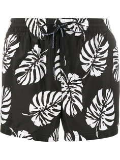 шорты для плавания с принтом пальмовых веток Dolce &amp; Gabbana