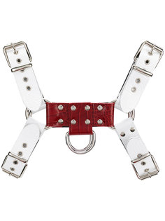 harness with hardware Alyx