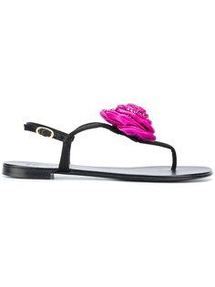 Rose sandals Giuseppe Zanotti Design