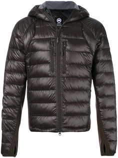 стеганый пуховик с капюшоном Canada Goose