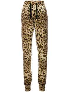 спортивные брюки с леопардовым принтом Dolce &amp; Gabbana