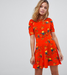 Чайное платье мини со сборками на плечах и принтом птиц ASOS PETITE - Мульти