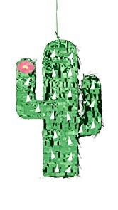 SunnyLife Cactus Mini Pinata
