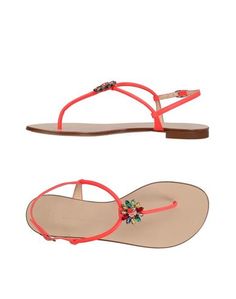 Вьетнамки Giuseppe Zanotti Design