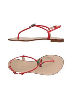 Вьетнамки Giuseppe Zanotti Design