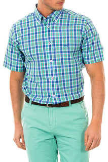 Shirt MCGREGOR