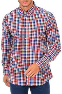 Shirts MCGREGOR