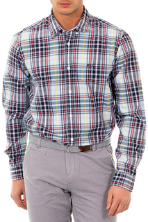 Shirts MCGREGOR
