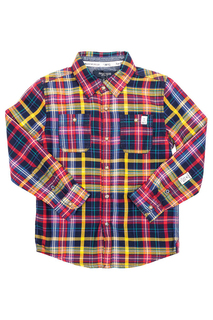 Shirts MCGREGOR