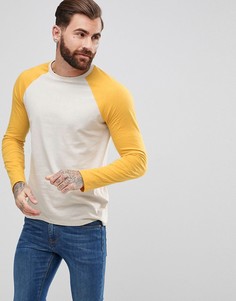 Футболка с длинными контрастными рукавами реглан ASOS - Мульти