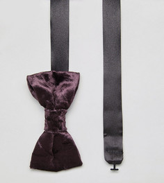 Бархатный галстук-бабочка Noose &amp; Monkey - Фиолетовый