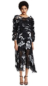 Preen By Thornton Bregazzi Ermin Dress with Black Silk Slip