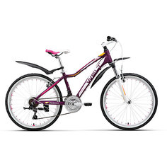 Велосипед  Edelweiss 24, фиолетово-белый, Welt