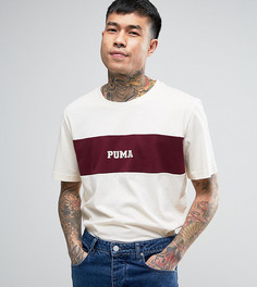 Футболка с бордовой вставкой Puma 57531101 эксклюзивно для ASOS - Красный