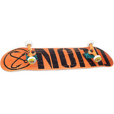 Скейтборд в сборе Nord Logo Orange/Black