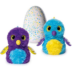 Игрушка Hatchimals - пингвинчик - интерактивный питомец, вылупляющийся из яйца Spin Master