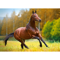 Пазл Осенний ветер, 180 деталей, Castorland