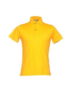 Поло Andrea Fenzi