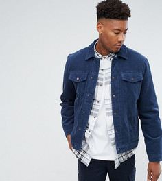 Синяя вельветовая утепленная куртка ASOS TALL - Синий