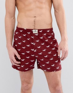 Бордовые тканые боксеры Hollister Gull - Красный