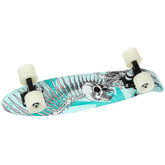 Скейт мини круизер Penny Tony Hawk 22 Ltd Full Skull 6 x 22 (55.9 см)
