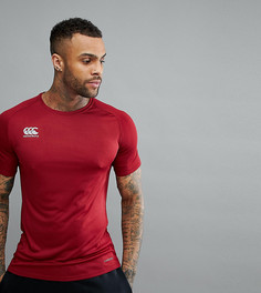 Бордовая футболка Canterbury Vapordri эксклюзивно для ASOS - Красный