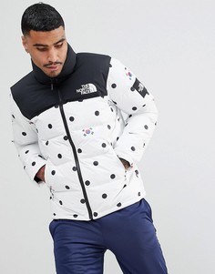 Пуховик в горошек The North Face International Limited Capsule Nuptse - Серый