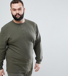 Свитшот цвета хаки с пуговицами ASOS PLUS - Зеленый