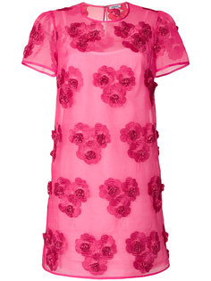 PYTTID721441025 P.A.R.O.S.H.