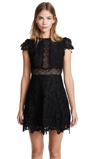 BB Dakota Calvin Scalloped Lace Dress