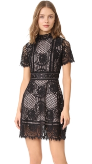 BB Dakota Aria Lace Short Sleeve Dress