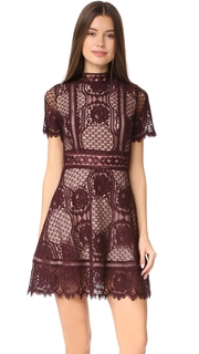 BB Dakota Aria Lace Short Sleeve Dress