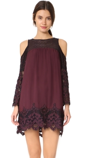 BB Dakota Jacky Two Tone Lace Dress