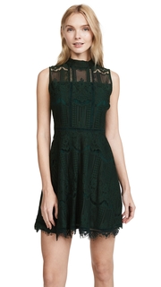 BB Dakota Reese Dress