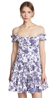 Caroline Constas Maria Dress