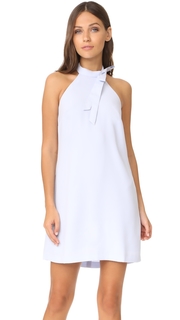 Club Monaco Bowee Dress