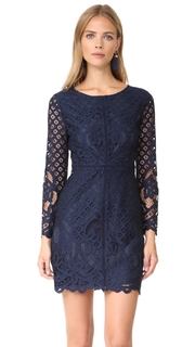 cupcakes and cashmere Spence Fitted Lace Dress